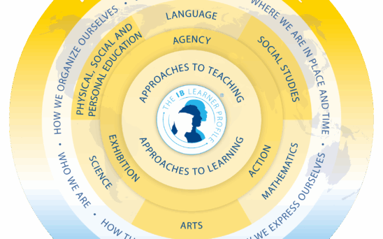 pyp-model-en