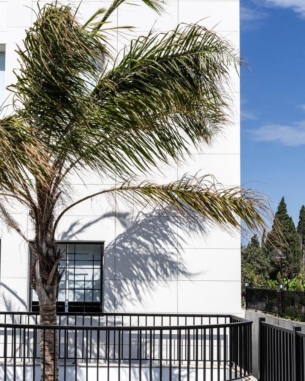 Stars College Ghaziyeh Branch